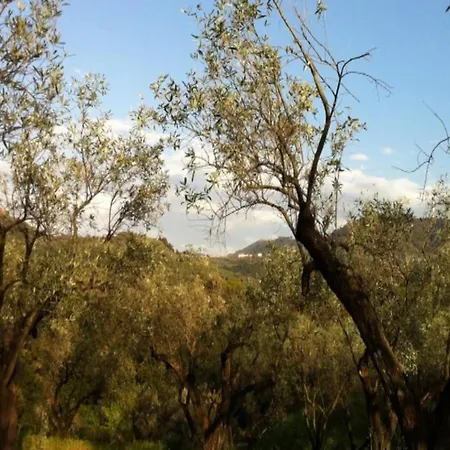 Farm Retreat In Sunny Calabria *