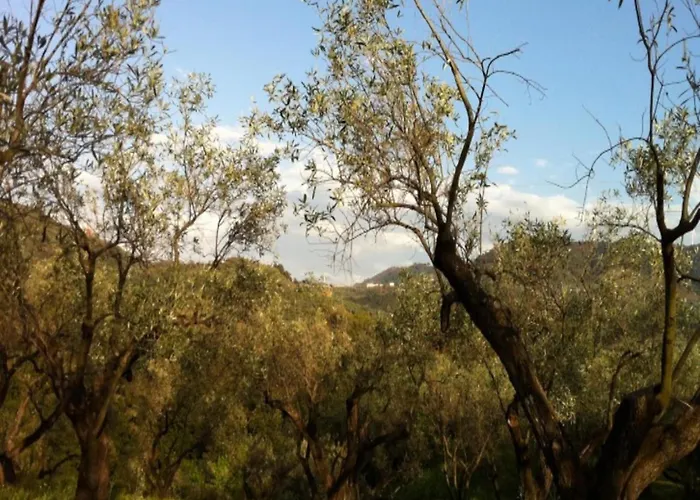 Farm Retreat In Sunny Calabria *